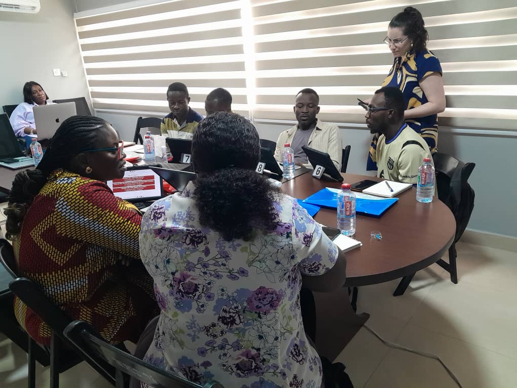 MEBCI endline data-collection planning session